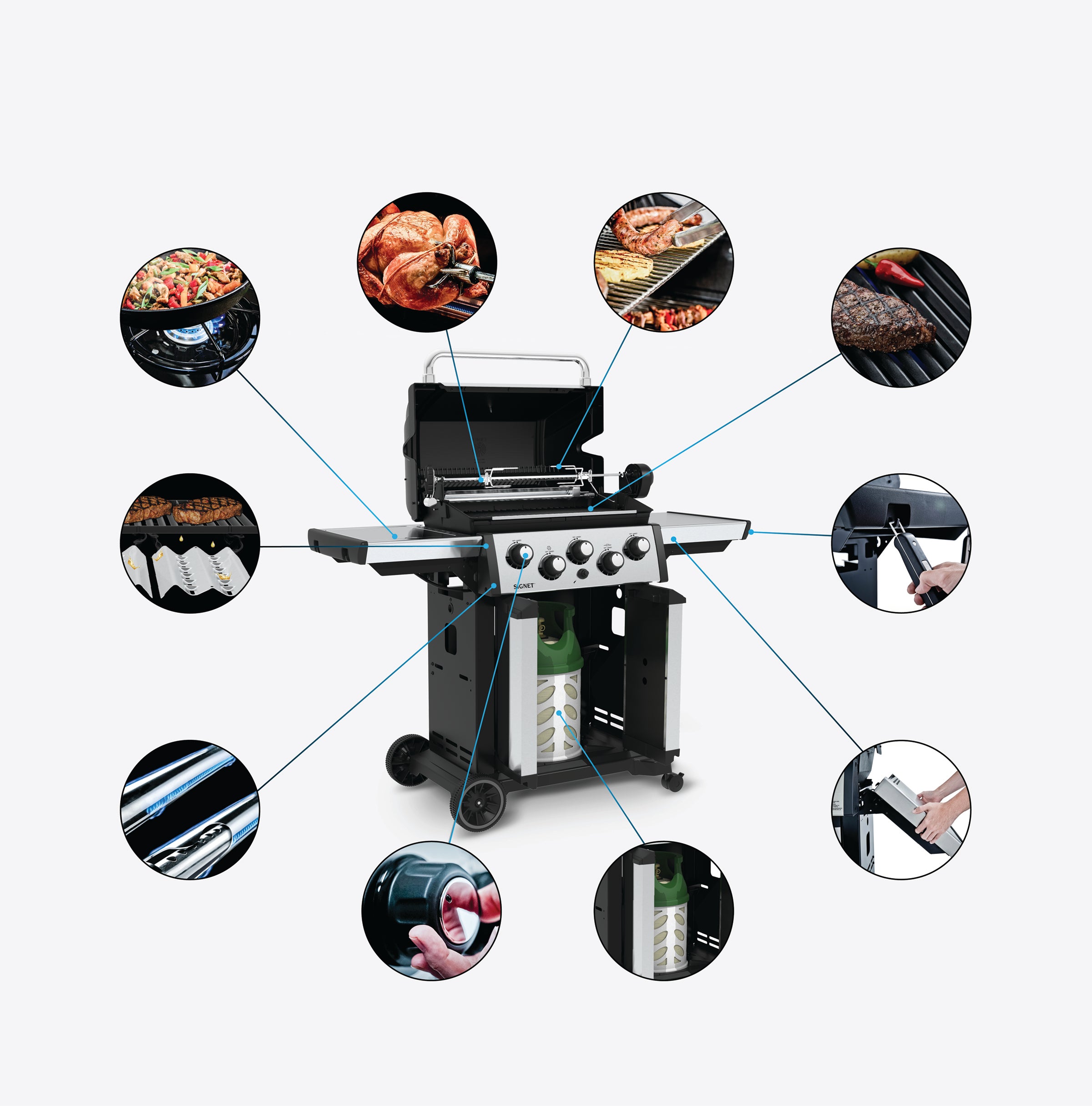 Grill Anatomy Image