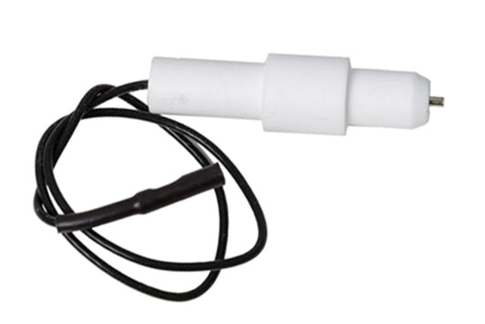 ELECTRODE W/WIRE +
