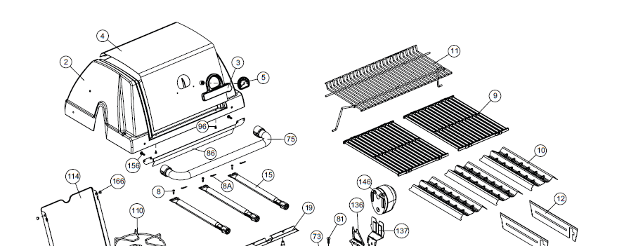 Grill Anatomy Image