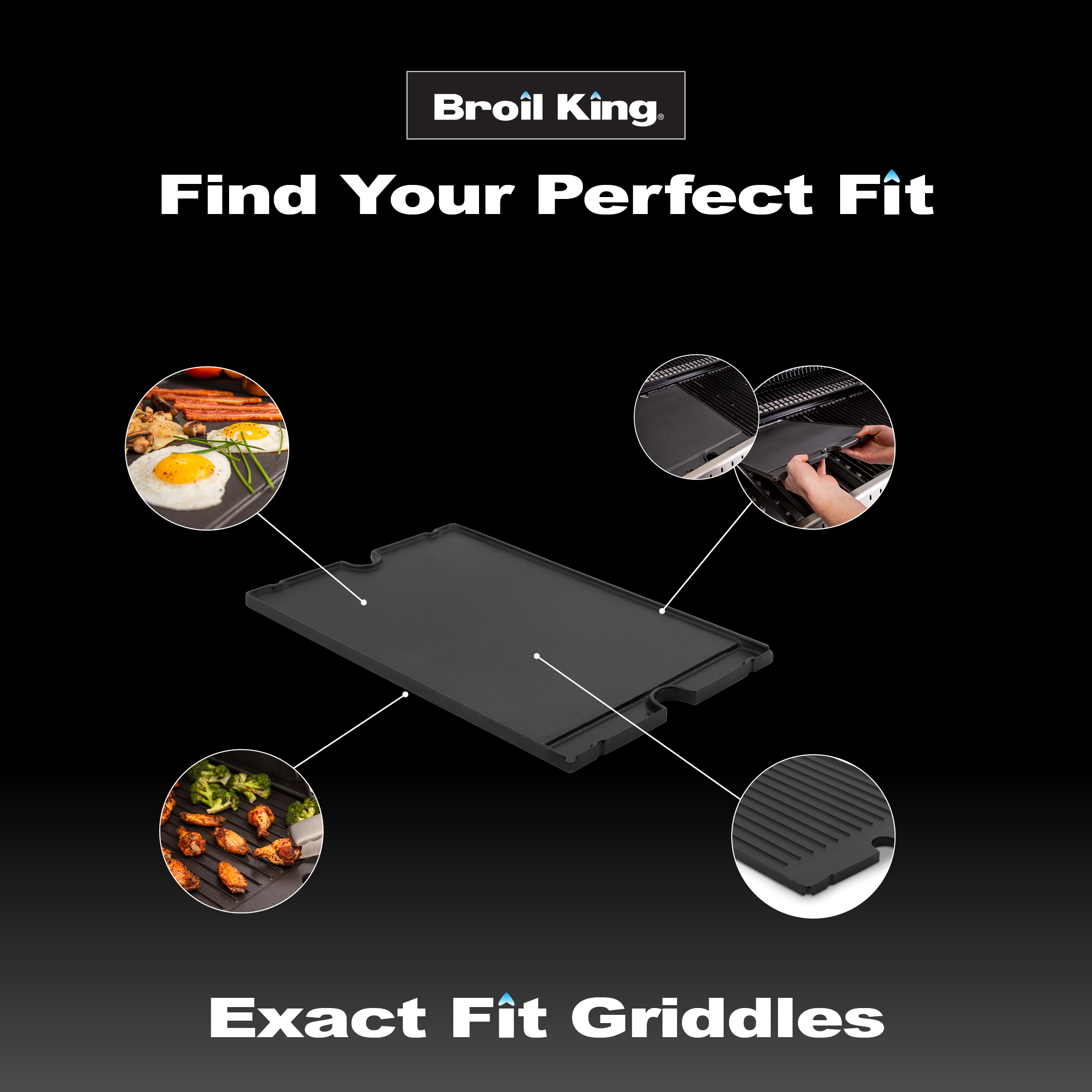 Grill Anatomy Image