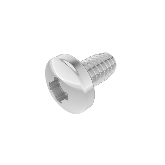 SCREW 1/4 - 20x1/2 SS